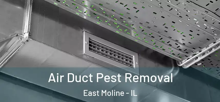 Air Duct Pest Removal East Moline - IL