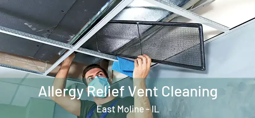 Allergy Relief Vent Cleaning East Moline - IL