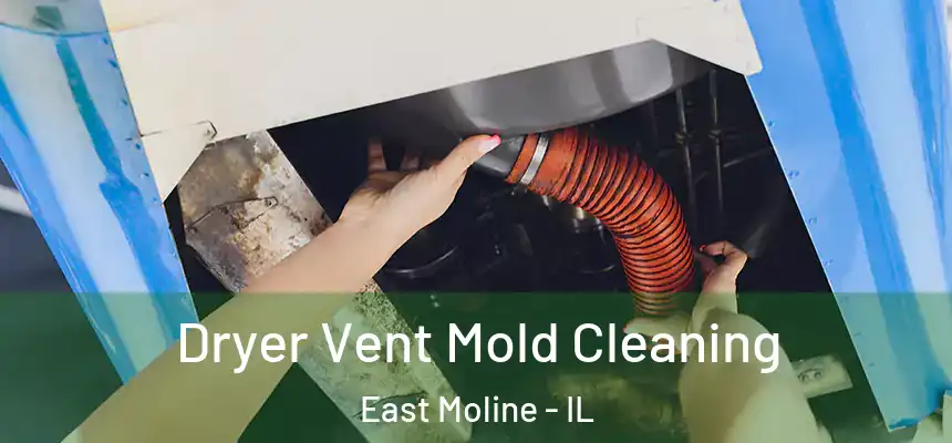  Dryer Vent Mold Cleaning East Moline - IL