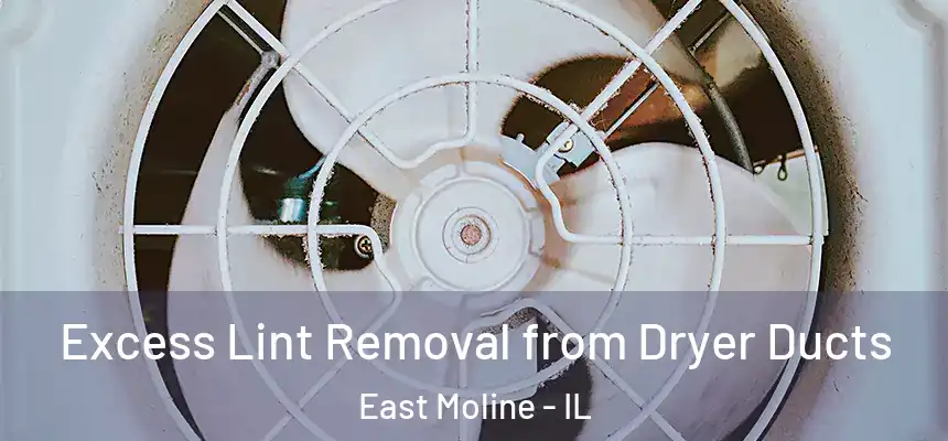Excess Lint Removal from Dryer Ducts East Moline - IL