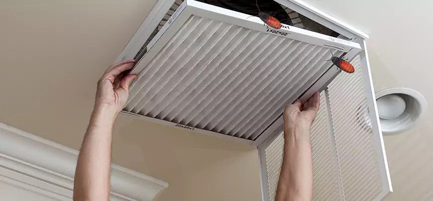 Preventive Cockroach-Proofing for Ducts in East Moline