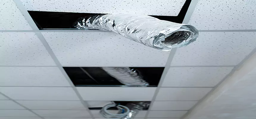 Our Air Duct Pet Hair Removal Services in East Moline, IL