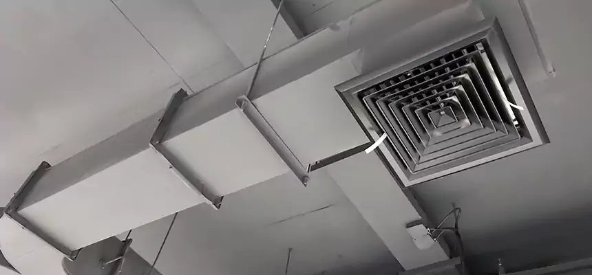 Restorative Allergy Relief Vent Cleaning – Coil, Blower & Housing Detail in East Moline