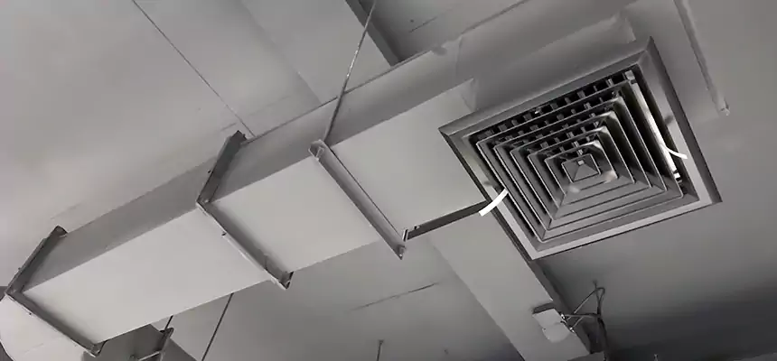 Our Pest Removal From Ducts Services in East Moline, IL