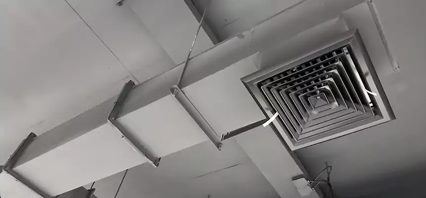 Our Rodent Droppings In Vents Services in East Moline, IL