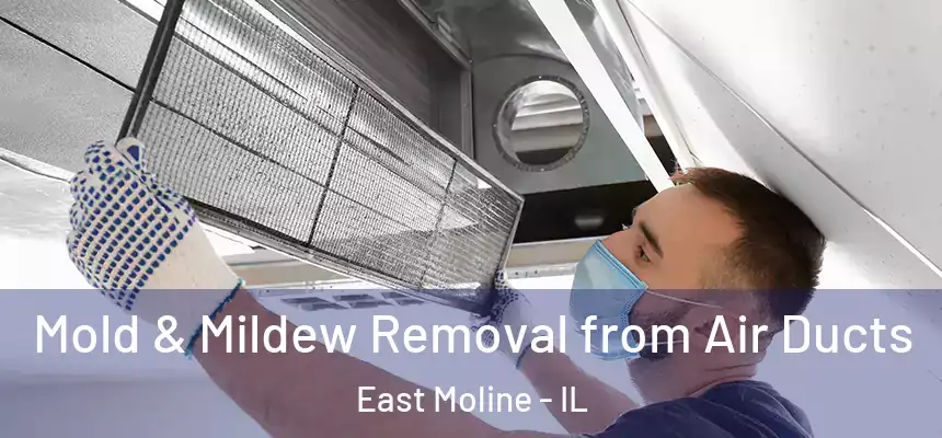  Mold & Mildew Removal from Air Ducts East Moline - IL