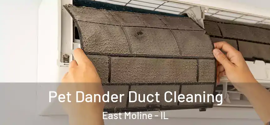 Pet Dander Duct Cleaning East Moline - IL