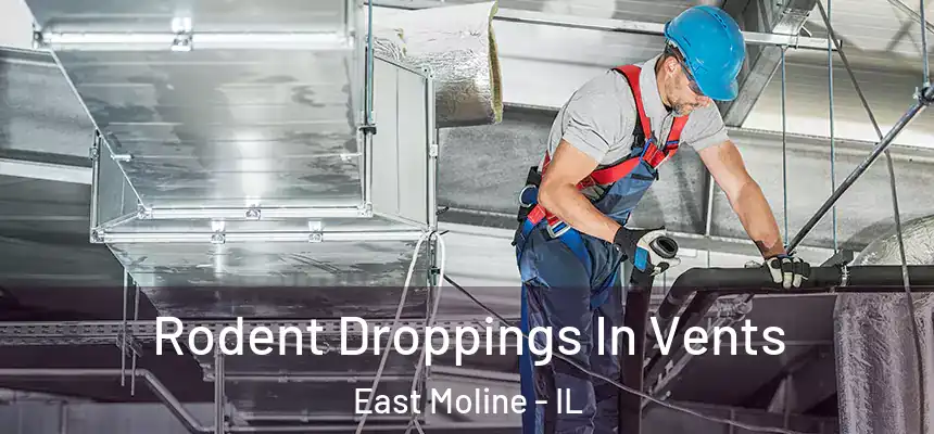  Rodent Droppings In Vents East Moline - IL