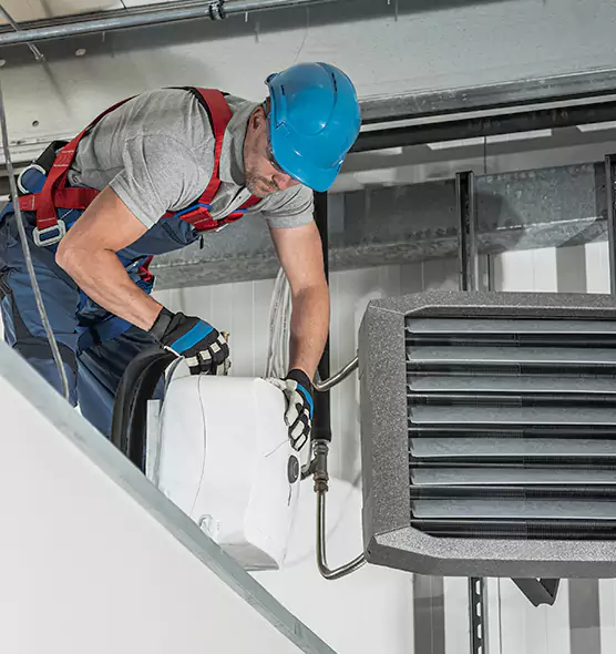 About HVAC Mold Remediation Service in East Moline, IL