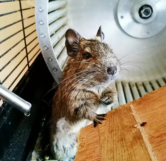 Why Homeowners & Businesses Trust Us East Moline, IL?