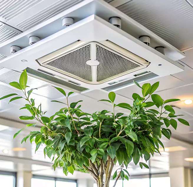 Why Homeowners & Businesses Trust Us in East Moline, IL