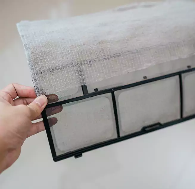 Why Homeowners & Businesses Trust Us in East Moline, IL?