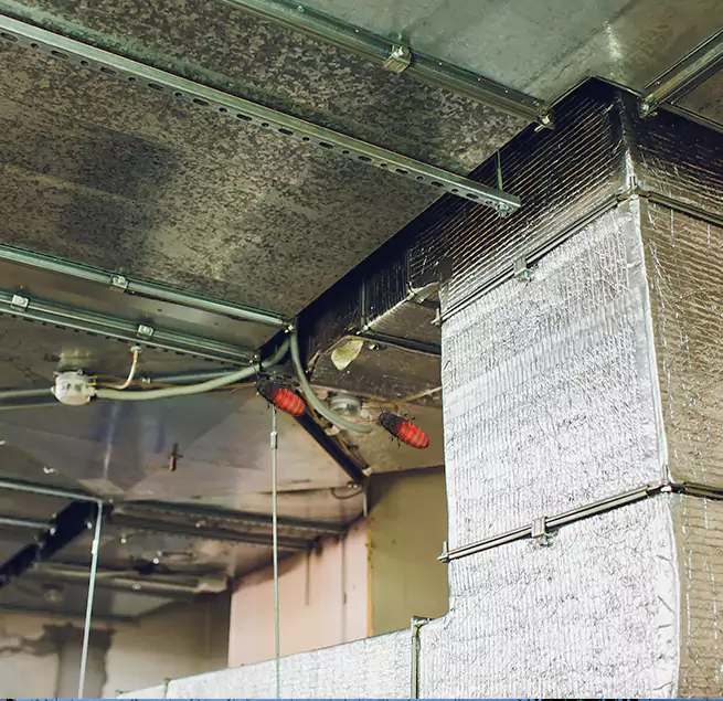 Why Homeowners & Businesses Trust Us East Moline, IL?