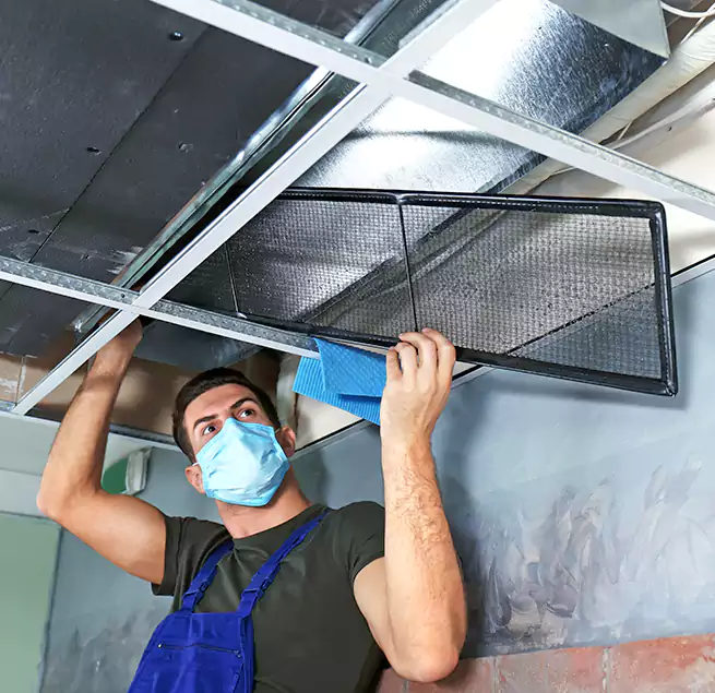 Why Homeowners Businesses Trust Us in East Moline, IL